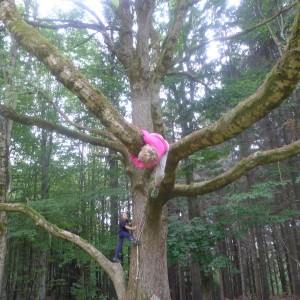 Škola v roubence = děti visící na stromech
