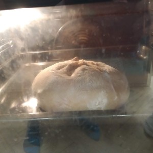 Chleba v troubě